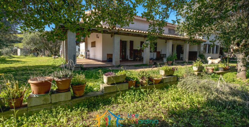 sardinia villa with veranda on two level surrounded by greenery