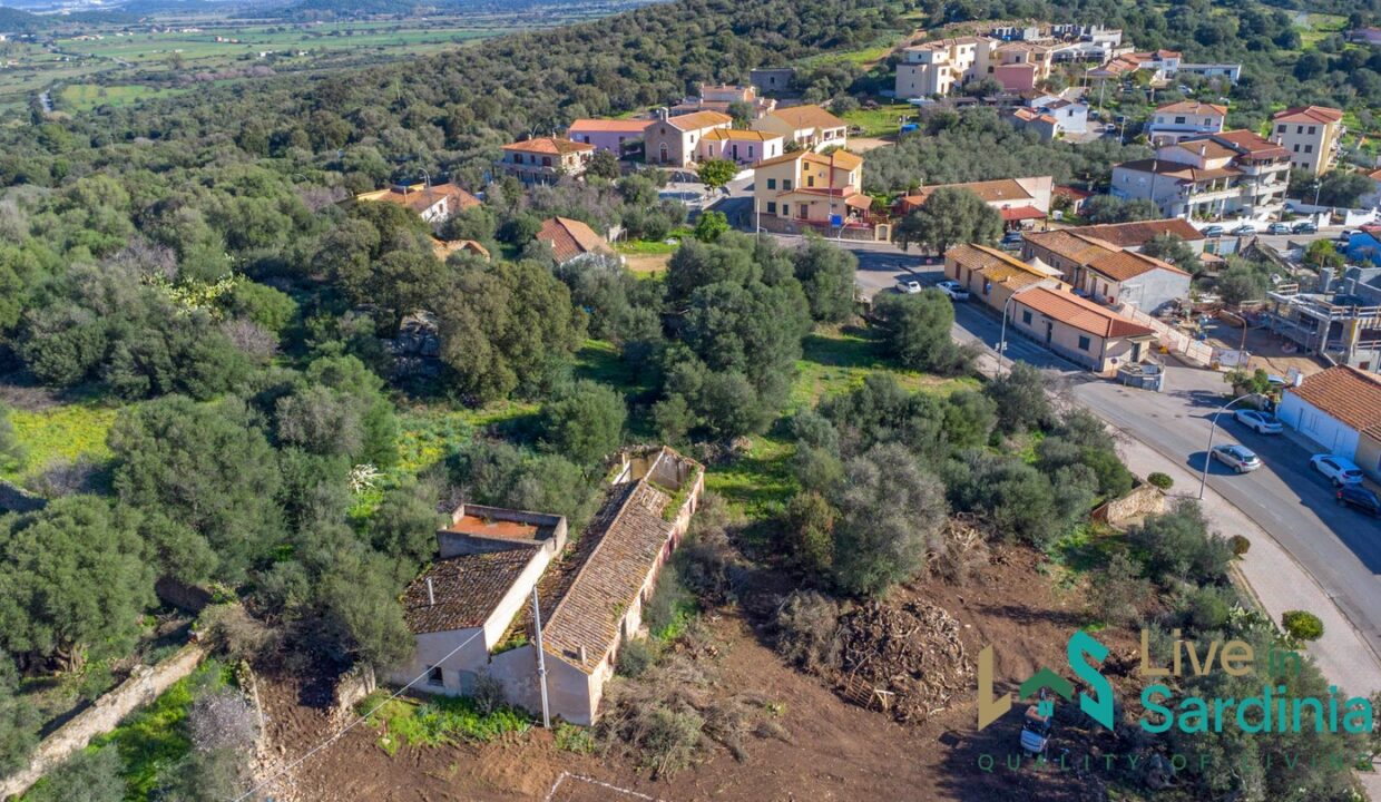 Rustic-Home-with-Olive-Grove-For-Sale-Near-Sale-In-Porto-San-Paolo