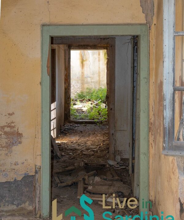 Rustic-Home-with-Olive-Grove-For-Sale-Near-Sale-In-Porto-San-Paolo
