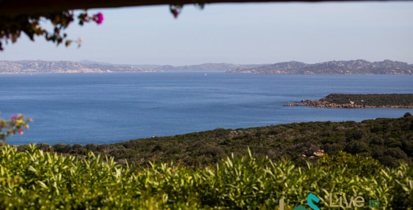 Property For Sale Olbia Sardinia With Sea View