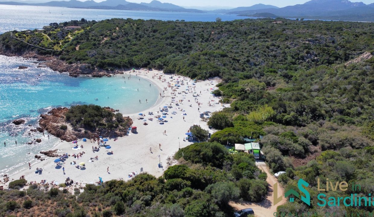 aerial view of a costa smeralda beach in sardinia with emerald coves and white beach and vegetation on the backdrop