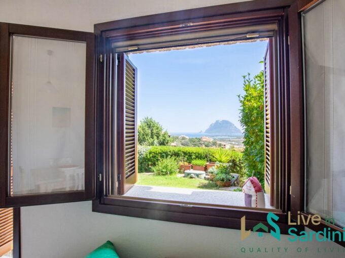 view from a window of tavolara island and the coastline