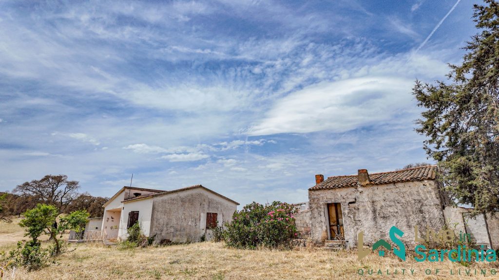 old Stazzo cottage stone in sardinia surrounded by a plain field and some coak and oak trees