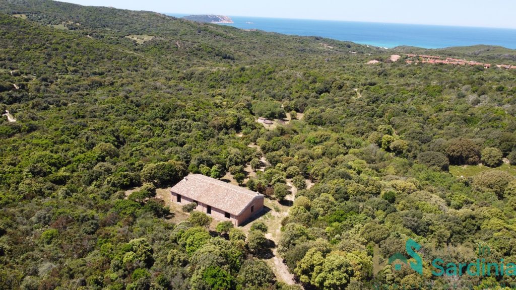Aerial view of sardinia one level villa amid mediterranean vegetation and sardinia coastline and sea