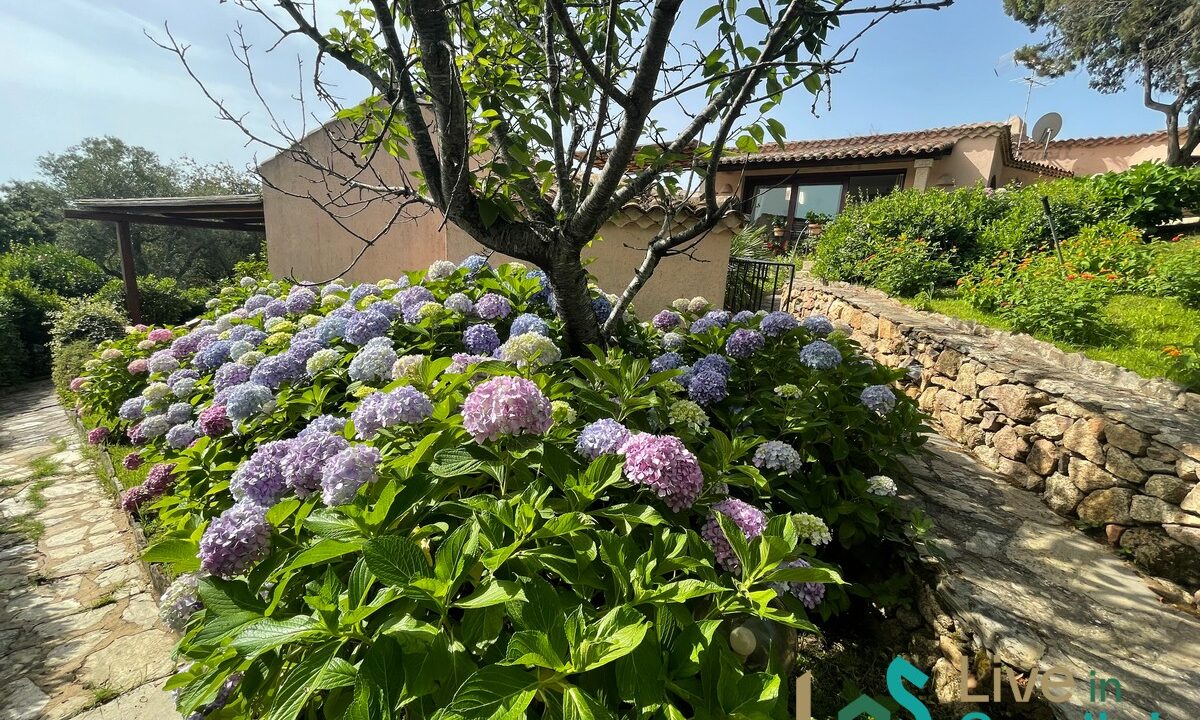 Villa-For-Sale-Porto-Cervo-Sardinia (75)