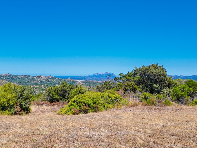 cottage for sale sardinia
