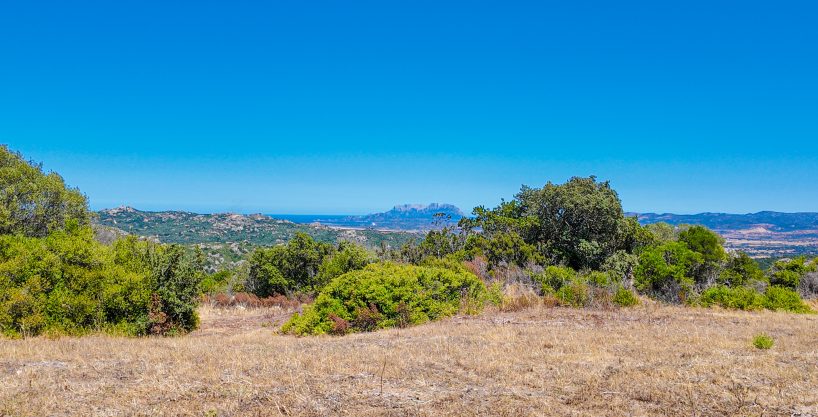 cottage for sale sardinia