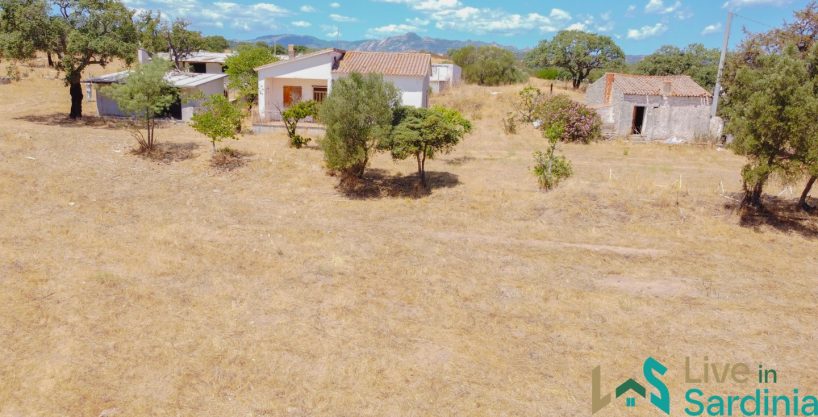 Cottage For Sale Sardinia ref Cuncosu