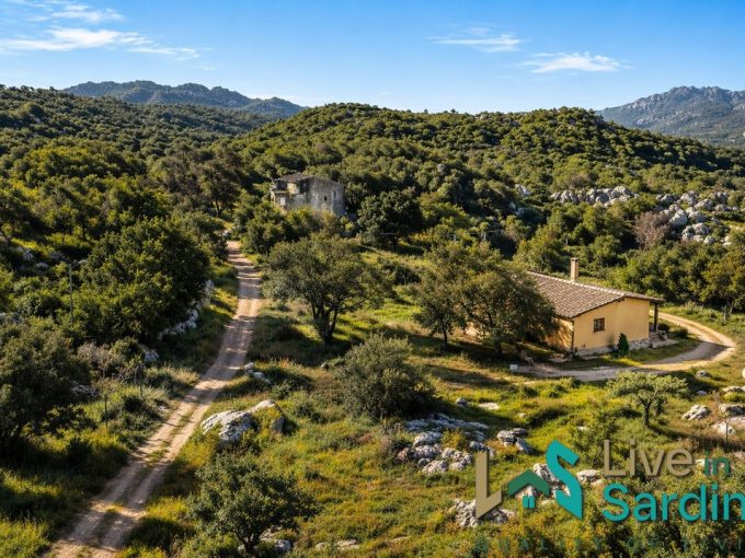 Aerial view of country house for sale in Calangianus Gallura Sardinia with large land