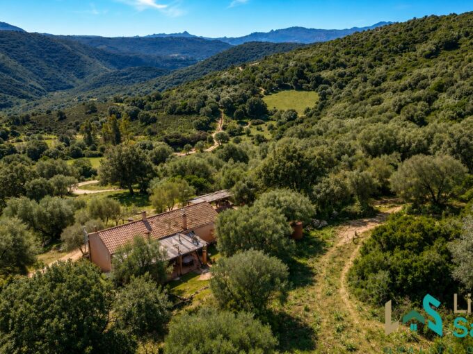 Authentic farmhouses for sale in Sardinia surrounded by unspoilt countryside and Mediterranean landscape