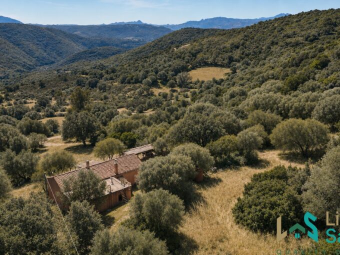 Farmhouse for sale near Arzachena Sardinia with land in the Gallura countryside