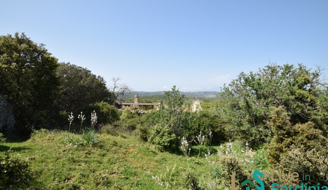 Farmhouse-for-Sale-in-Luogosanto