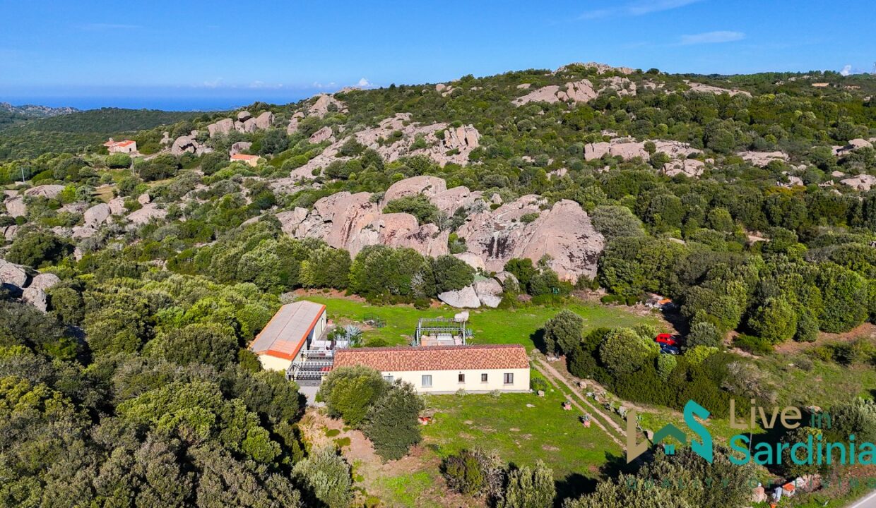 Country-Home-for-Sale-Aglientu