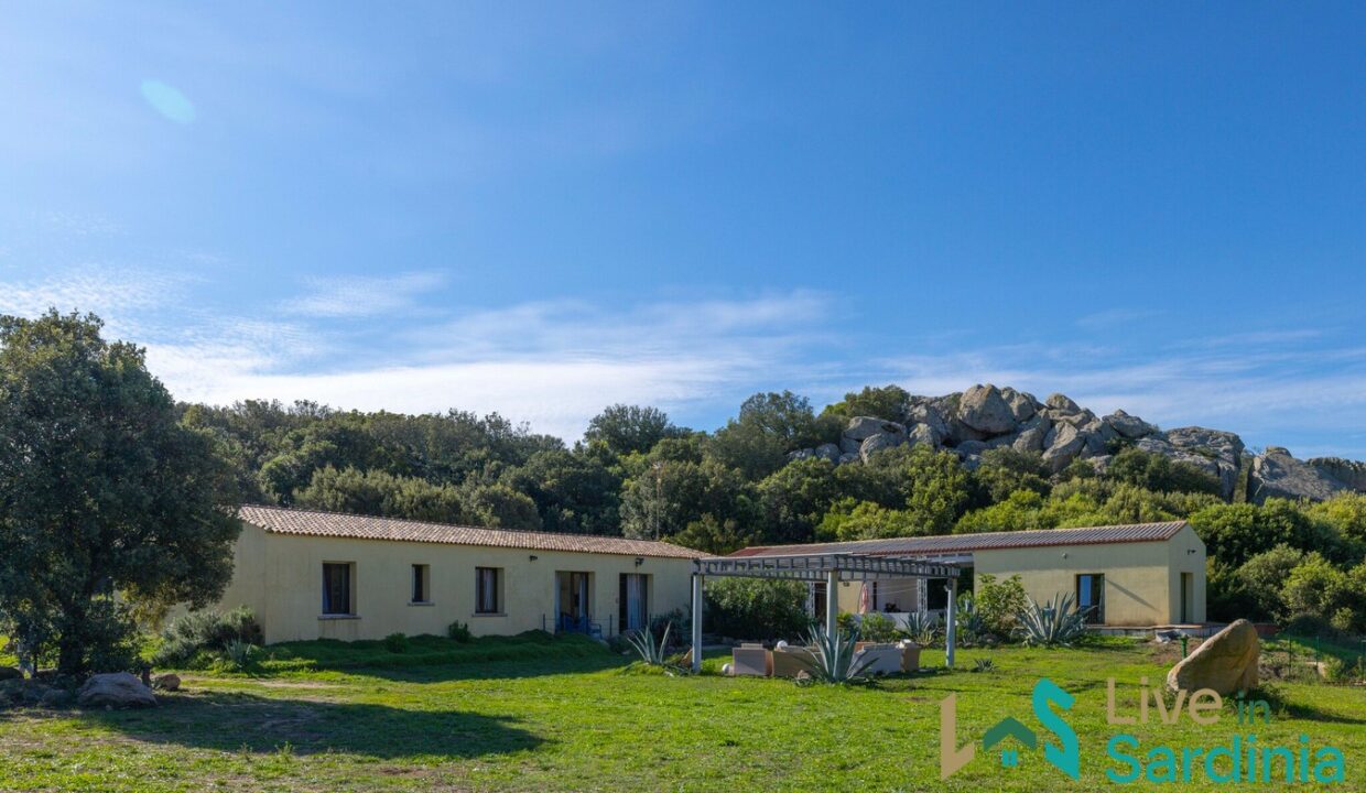Country-Home-for-Sale-Aglientu (5)