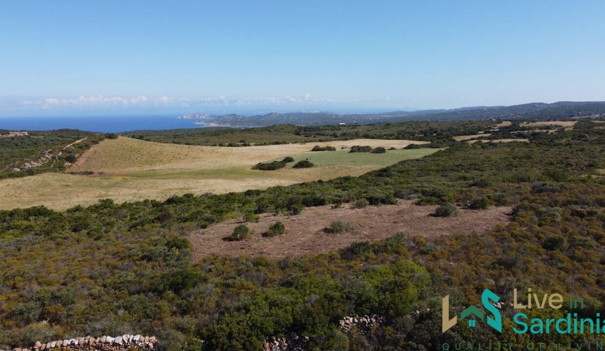 Land-For-Sale-In-Aglientu