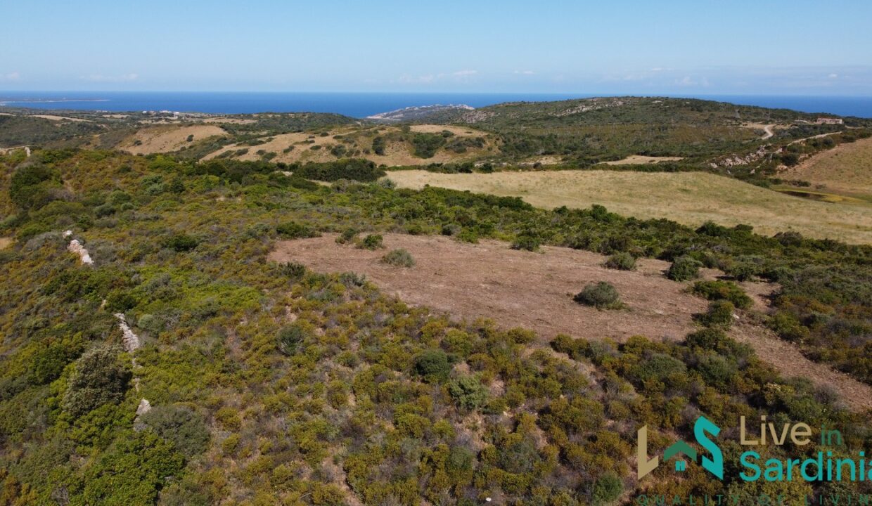 Land-For-Sale-In-Aglientu
