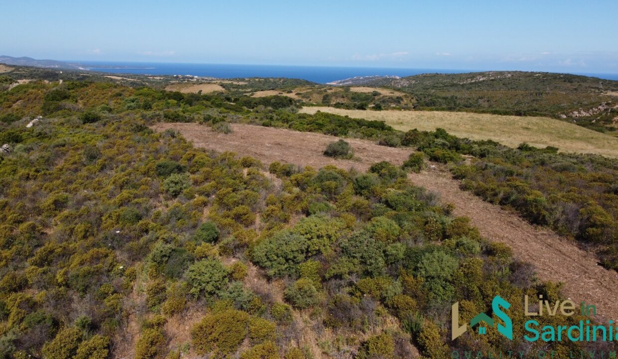 Land-For-Sale-In-Aglientu