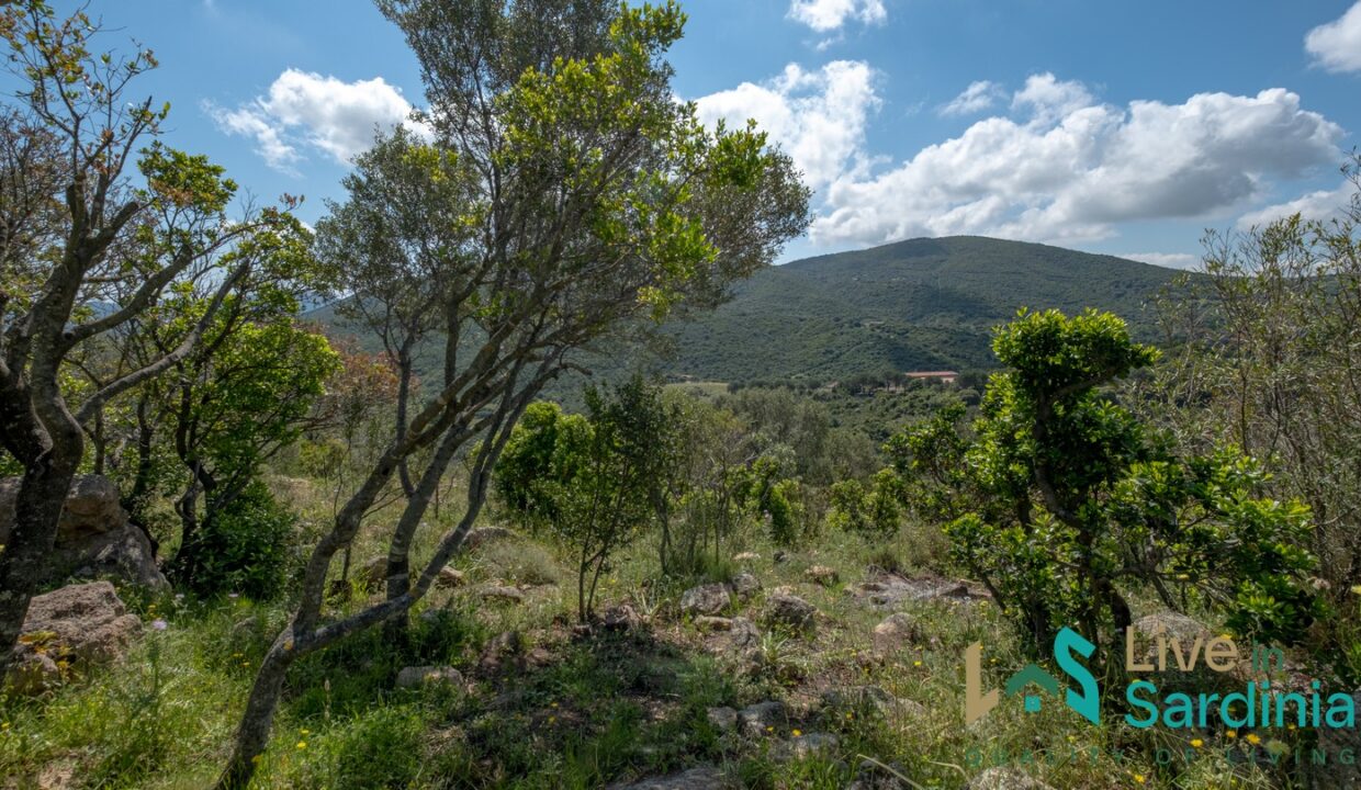 Sea-View-Home-For-Sale-In-Olbia (48)