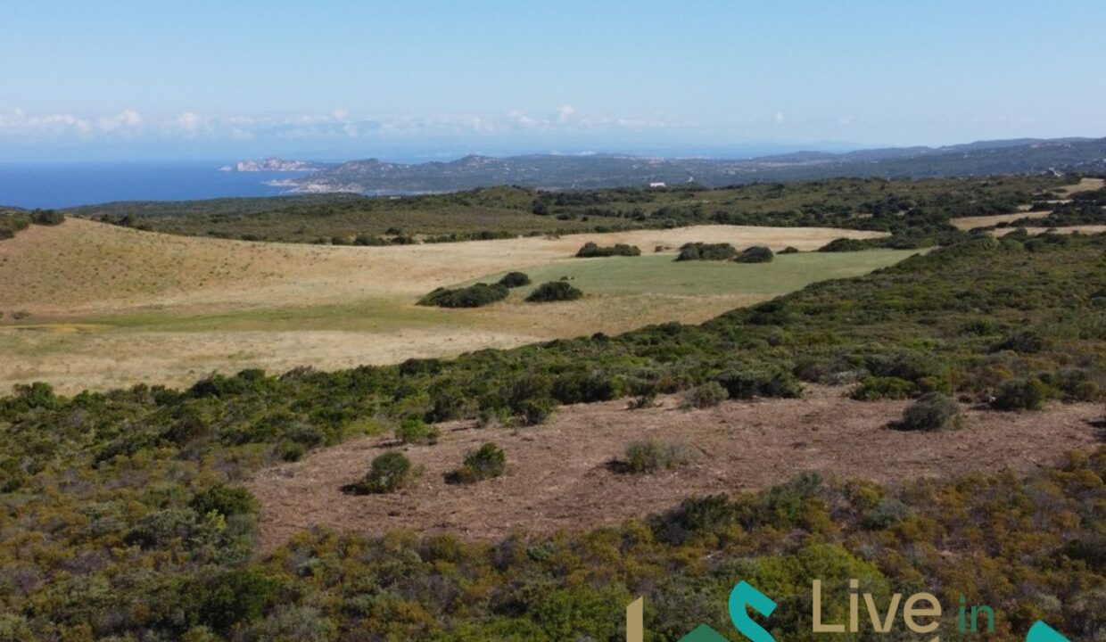 sardinia land for sale sea view project (18)
