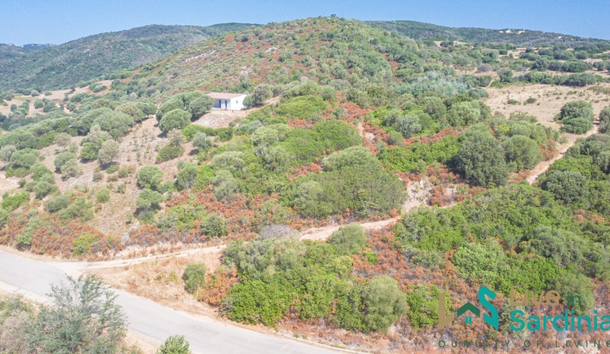 Country-Home-For-Sale-In-Gallura