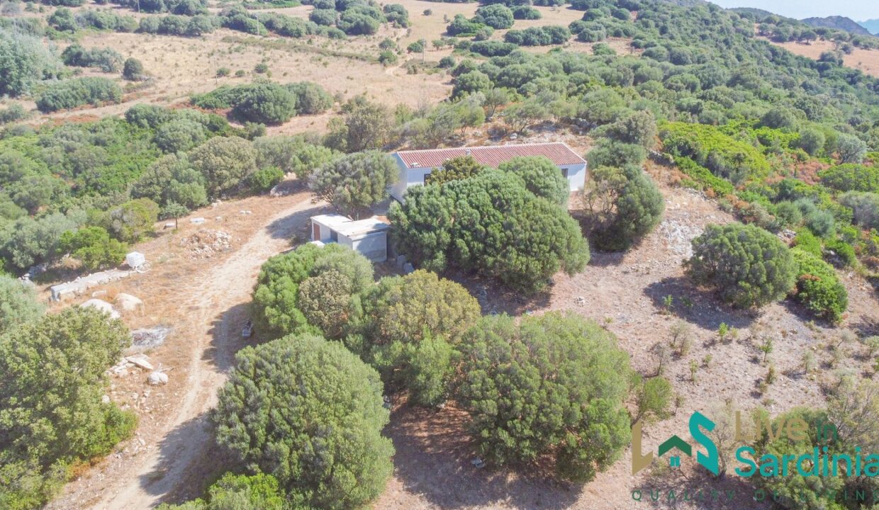 Country-Home-For-Sale-In-Gallura
