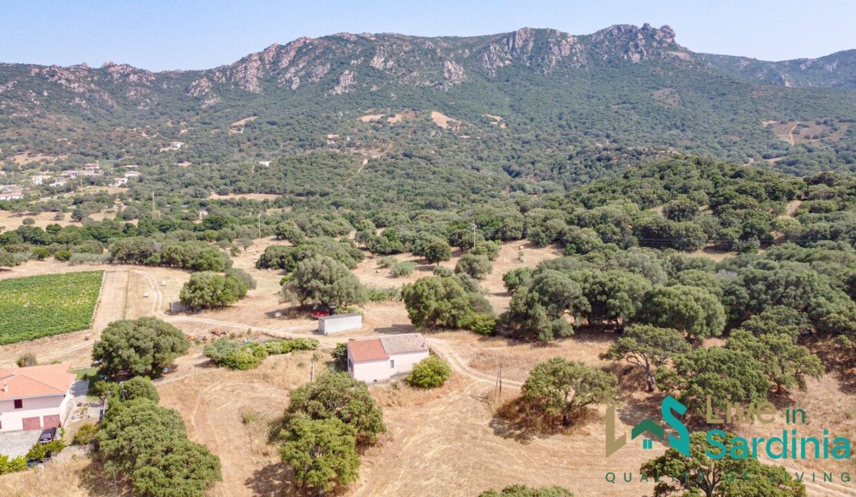 Country-Home-For-Sale-Monti