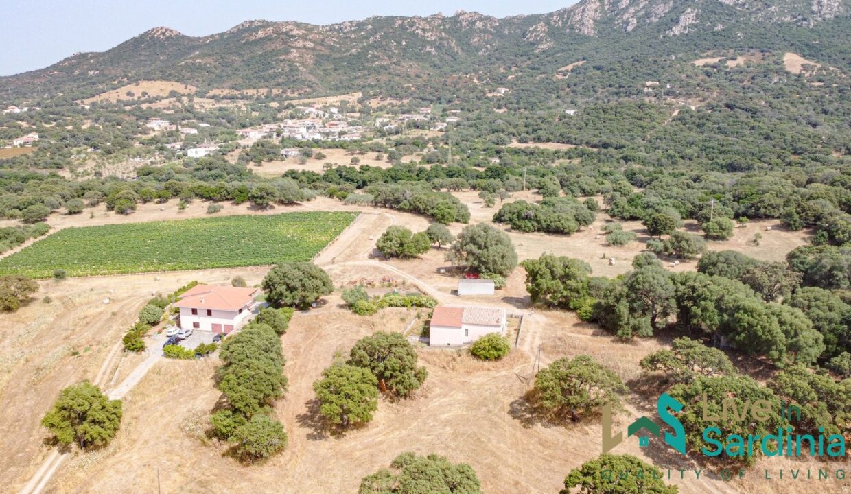 Country-Home-For-Sale-Monti