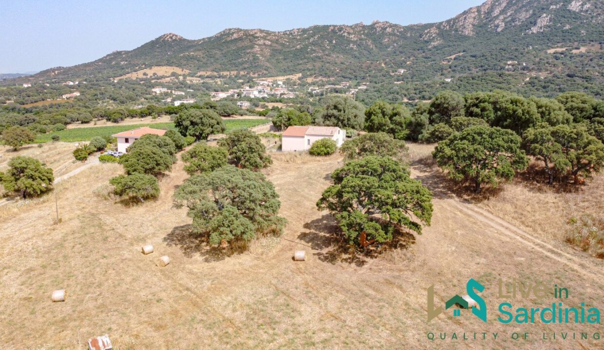Country-Home-For-Sale-Monti