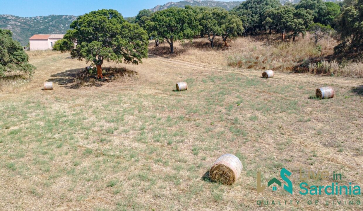 Country-Home-For-Sale-Monti