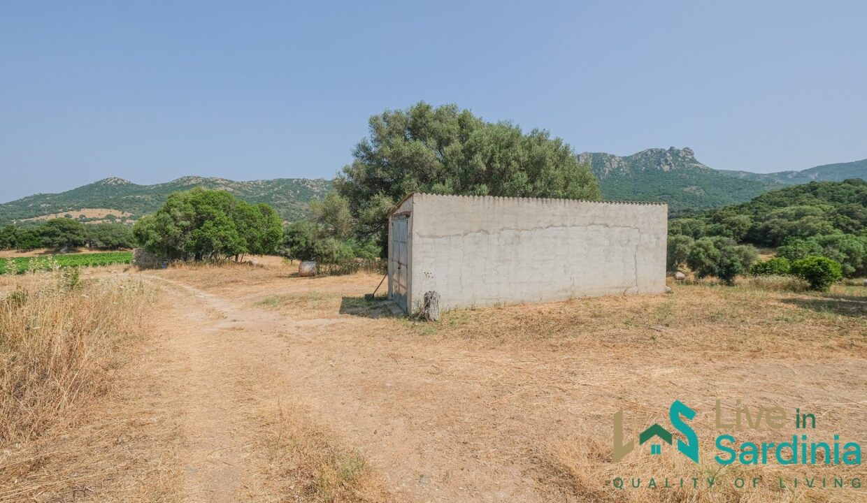 Country-Home-For-Sale-Monti (61)