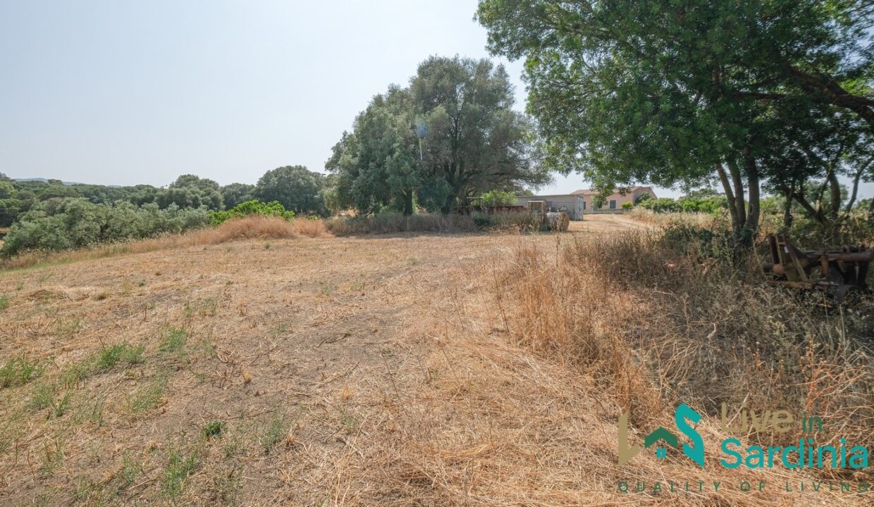 Country-Home-For-Sale-Monti (65)
