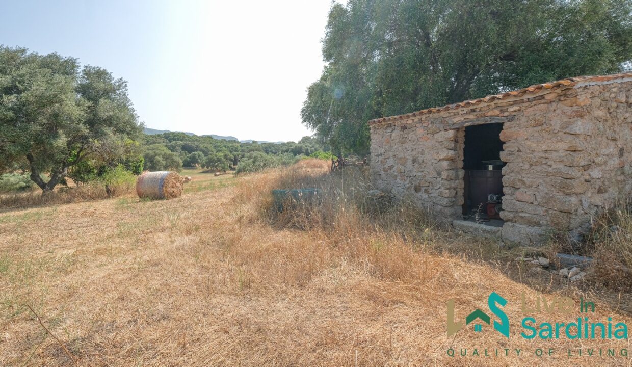 Country-Home-For-Sale-Monti (68)