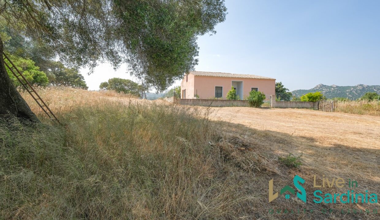 Country-Home-For-Sale-Monti (78)