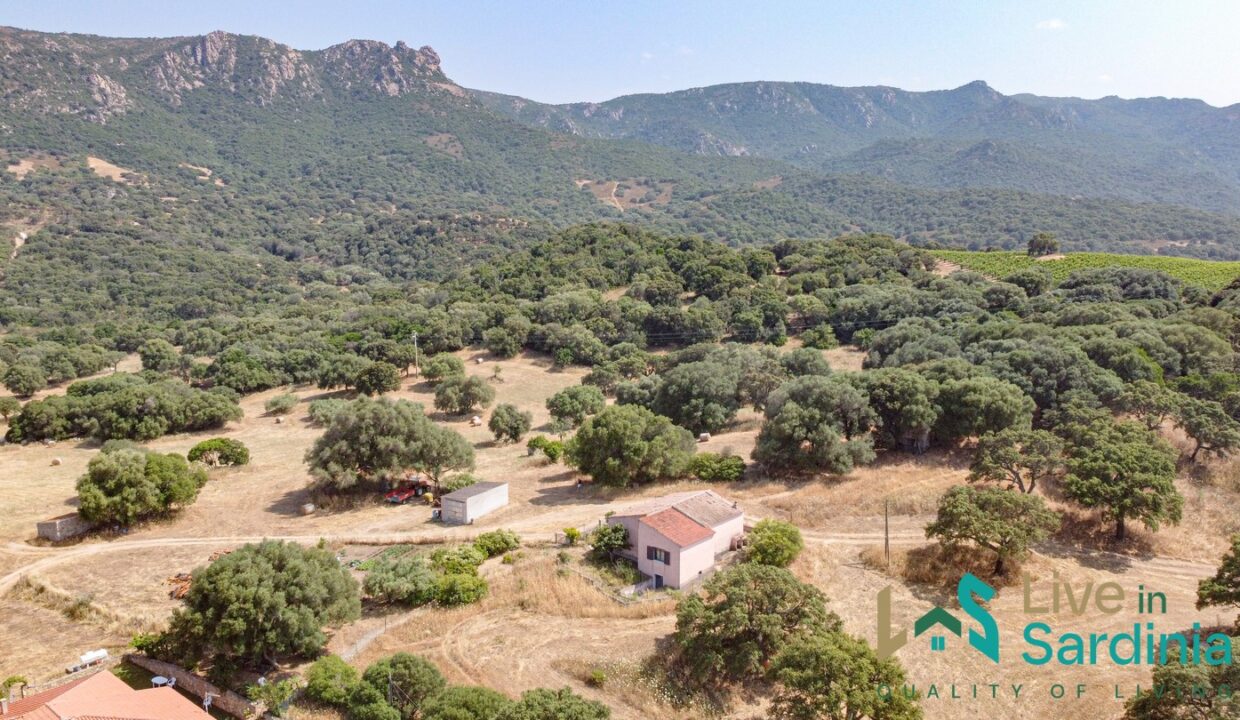 Country-Home-For-Sale-Monti