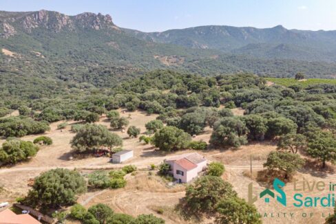 Aerial view on Sardinia country home with woodland and grassland around