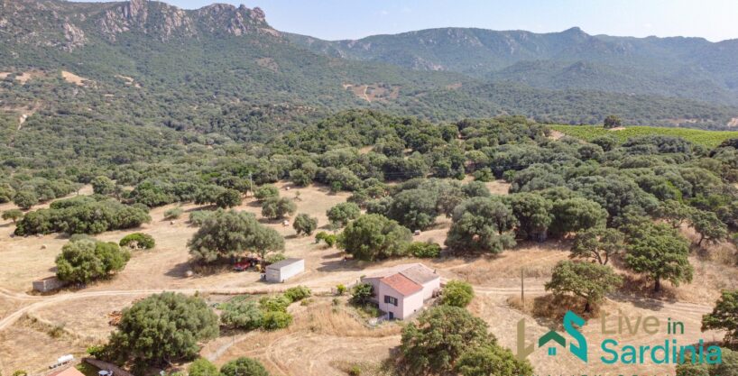 Aerial view on Sardinia country home with woodland and grassland around