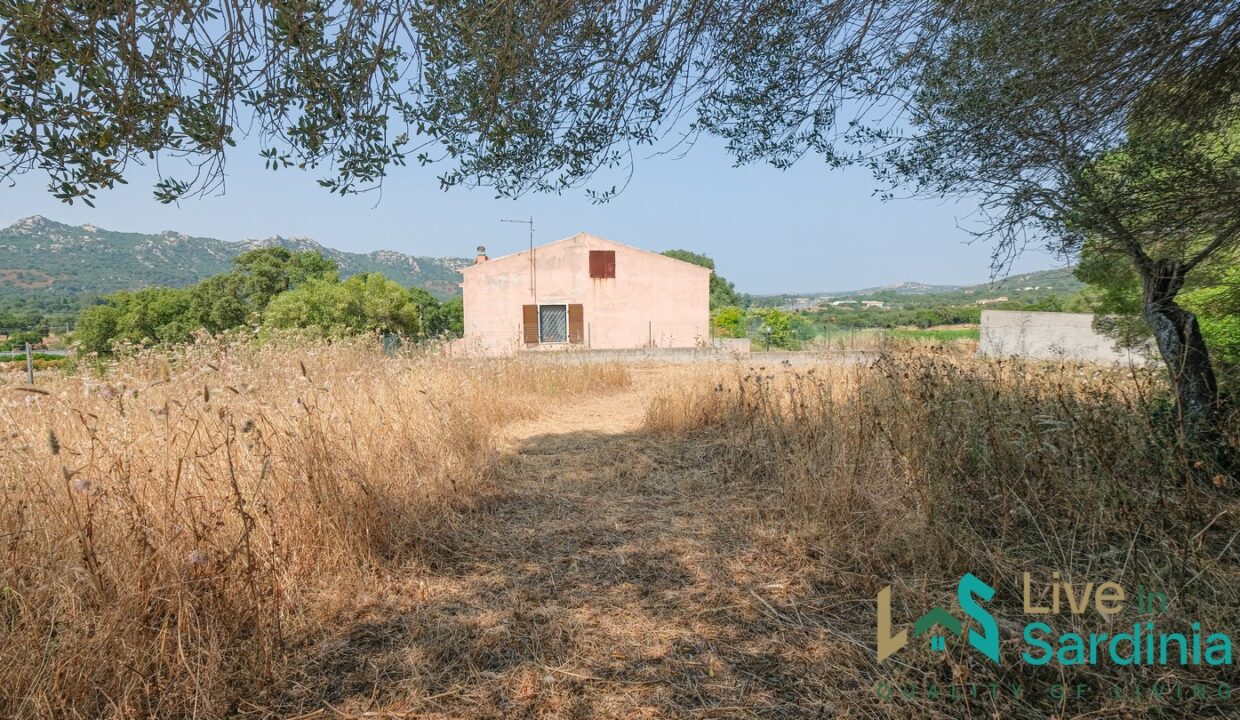 Country-Home-For-Sale-Monti (81)