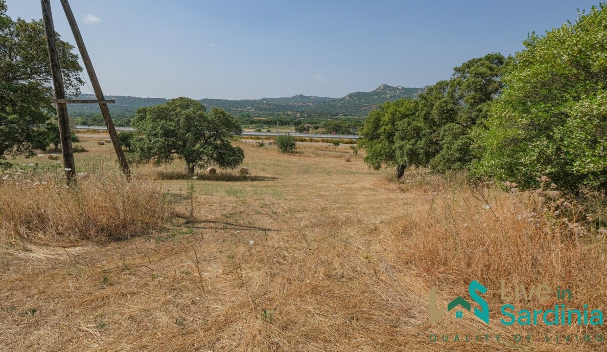 Country-Home-For-Sale-Monti (87)