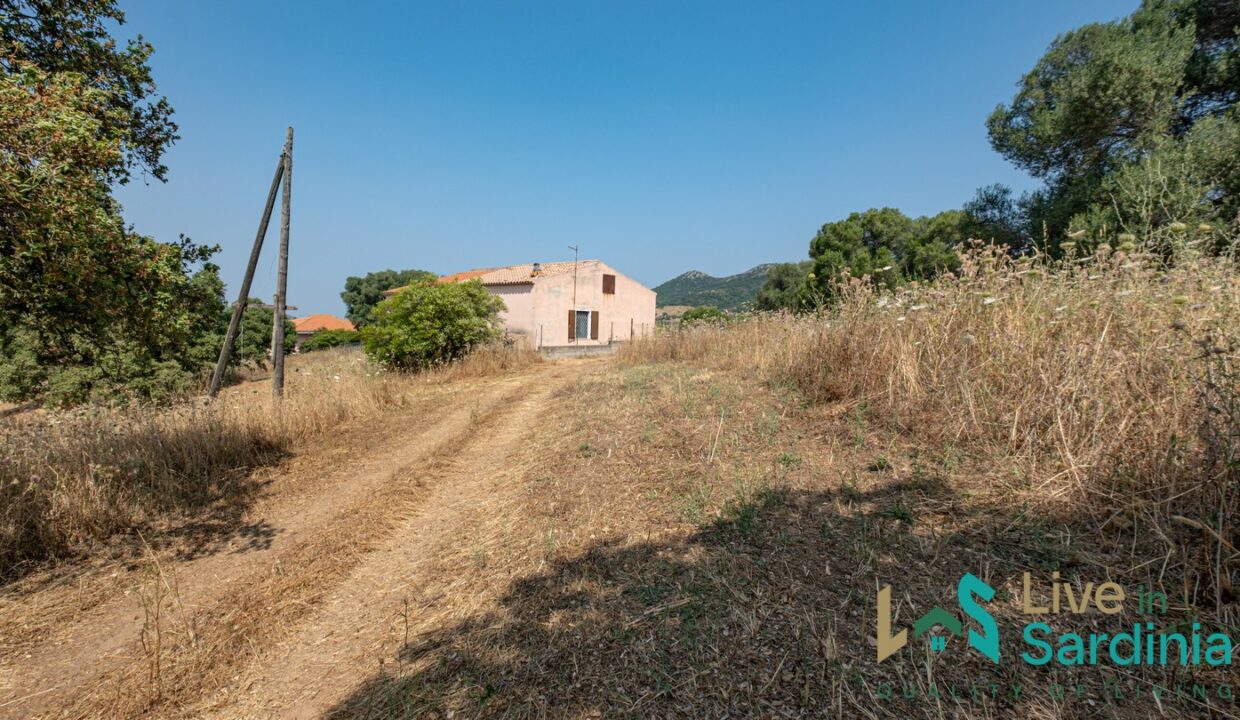 Country-Home-For-Sale-Monti (90)