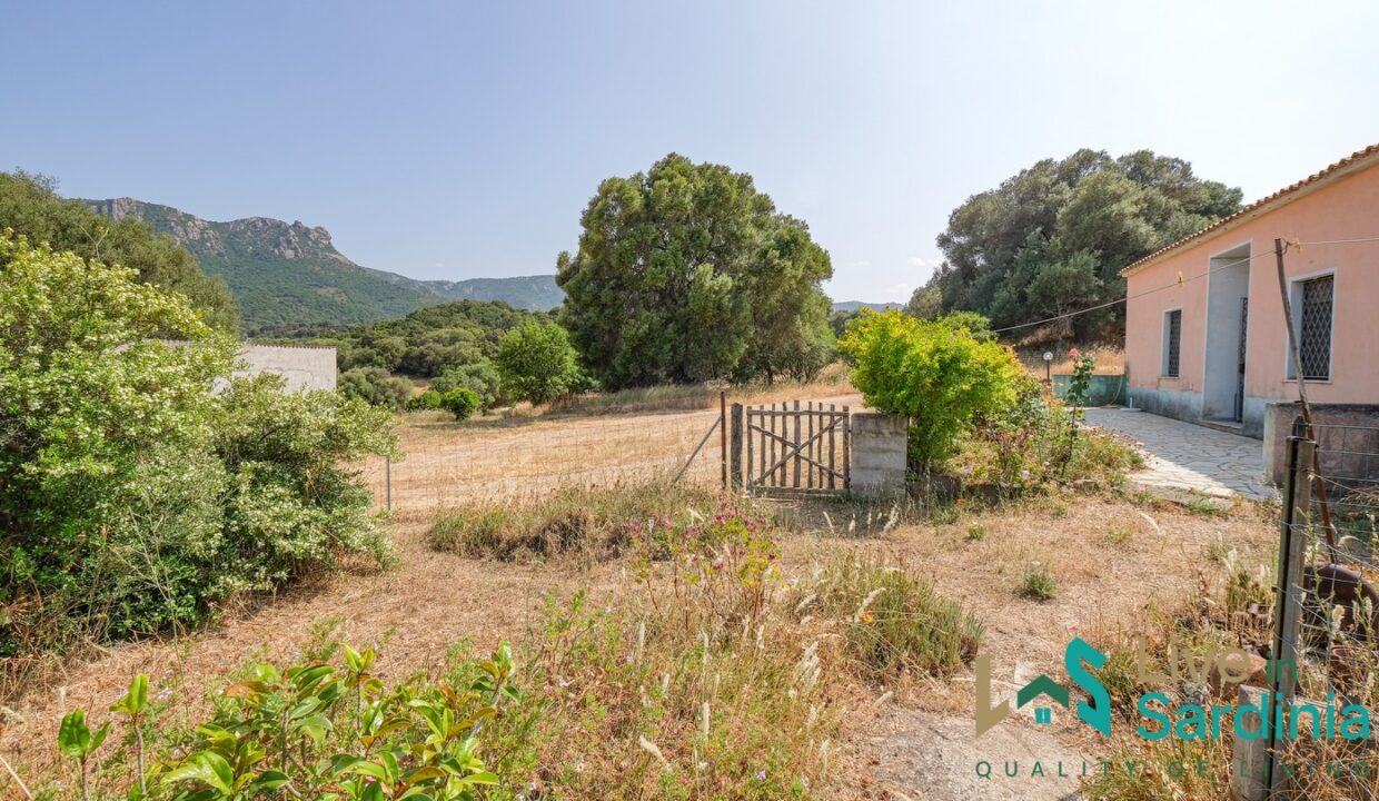 Country-Home-For-Sale-Monti (95)