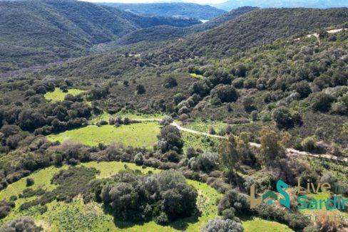 House For Sale Arzachena