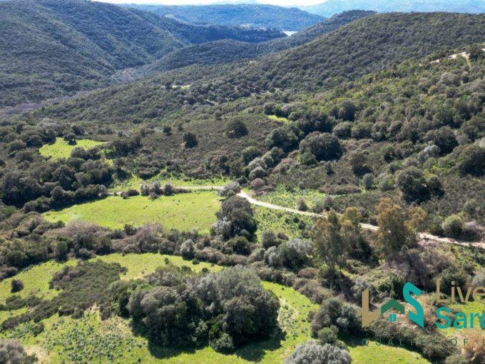 House For Sale Arzachena