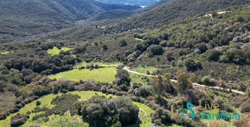 House For Sale Arzachena