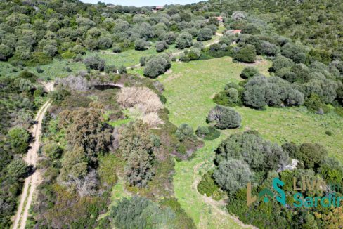 House For Sale Luogosanto