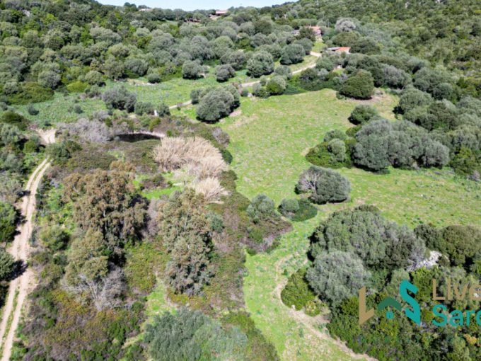 House For Sale Luogosanto