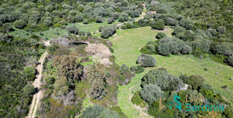 House For Sale Luogosanto