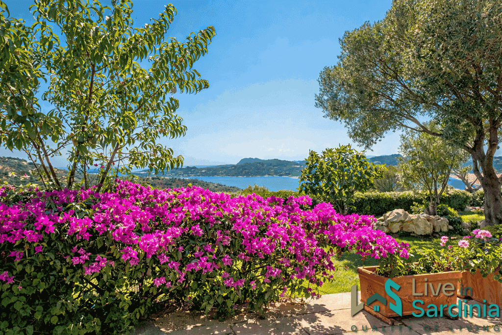 Sea view garden of villa near San Pantaleo overlooking the gulf of Cugnana