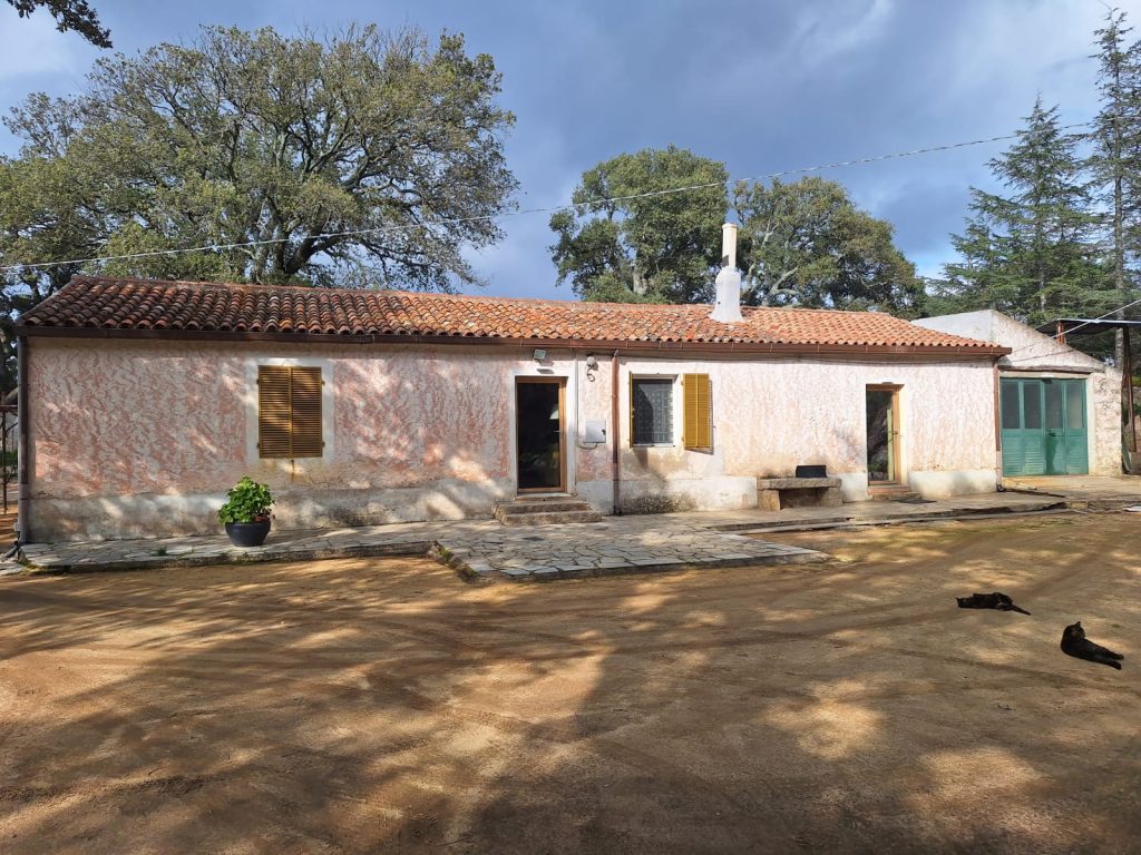 stazzu traditional home in north east sardinia