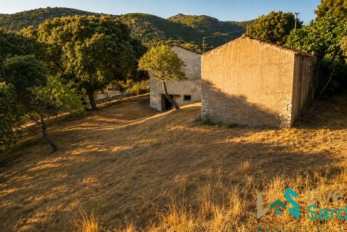 Stazzo for sale Olbia with two traditional buildings and land