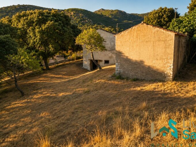 Stazzo for sale Olbia with two traditional buildings and land